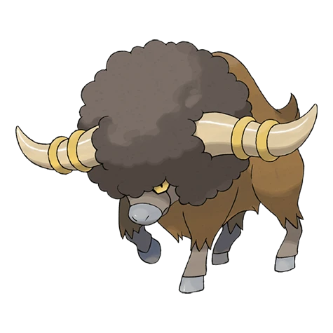 Frison