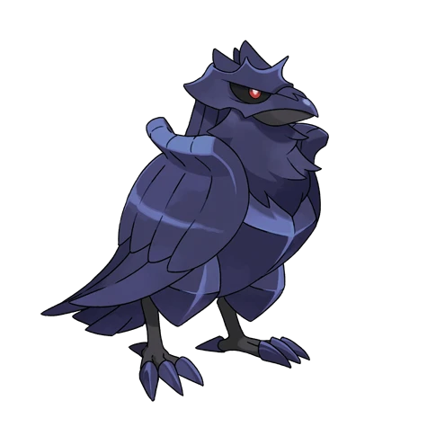 Corvaillus