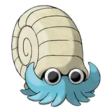 Amonita
