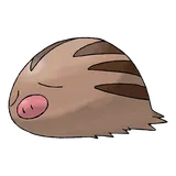 Marcacrin