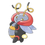 Muciole