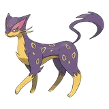 Léopardus