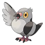 Poichigeon