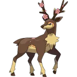 Haydaim Printemps