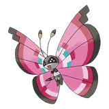 Prismillon Floraison