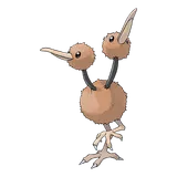 Doduo