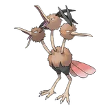 Dodrio